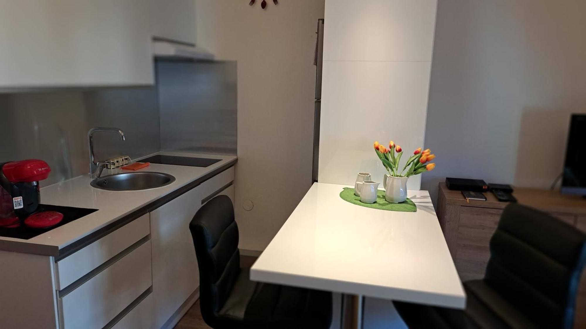 Fred Centre-ville Aix-les-Bains
